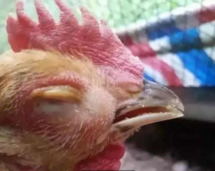 一覺(jué)醒來(lái)一只眼睛突然腫脹的原因及應(yīng)對(duì)方法，一覺(jué)醒來(lái)一只眼睛腫脹的原因與應(yīng)對(duì)方法解析