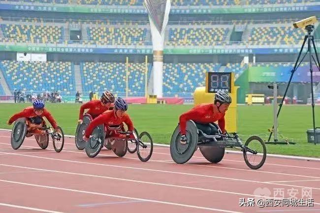 探索澳門未來，2025新澳門正版免費(fèi)資本車展望，澳門未來展望，2025資本車正版免費(fèi)探索之旅