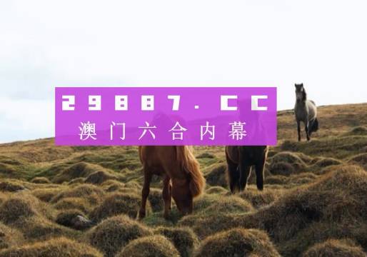 澳門開獎大全——最快獲取開獎信息的指南，澳門開獎信息速遞，最快獲取開獎結(jié)果的指南