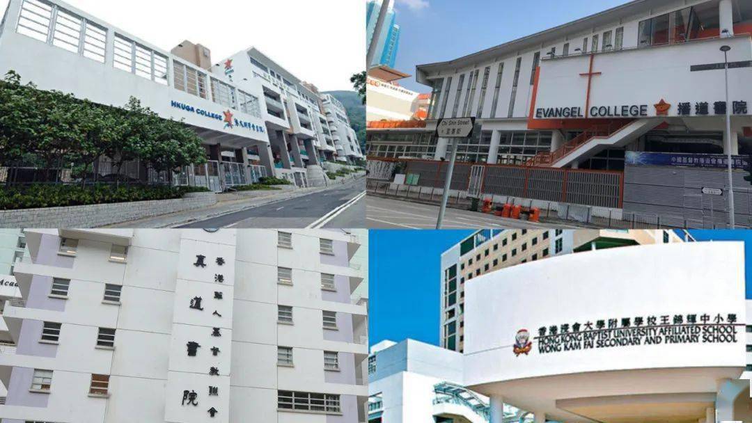 香港免費(fèi)公開資料大全，探索無盡的資源寶庫，香港免費(fèi)公開資料寶庫，無盡資源探索之旅