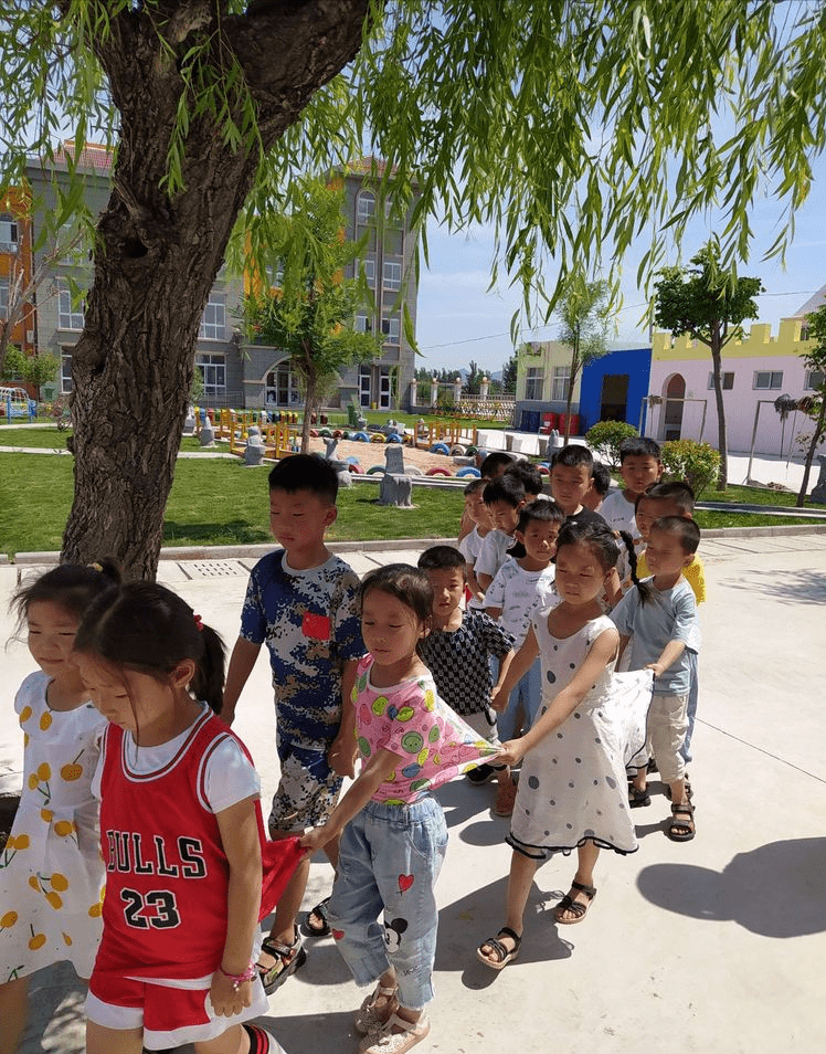 王中王三肖四期必開一肖，解析與預(yù)測，王中王三肖四期必開一肖解析與預(yù)測報告