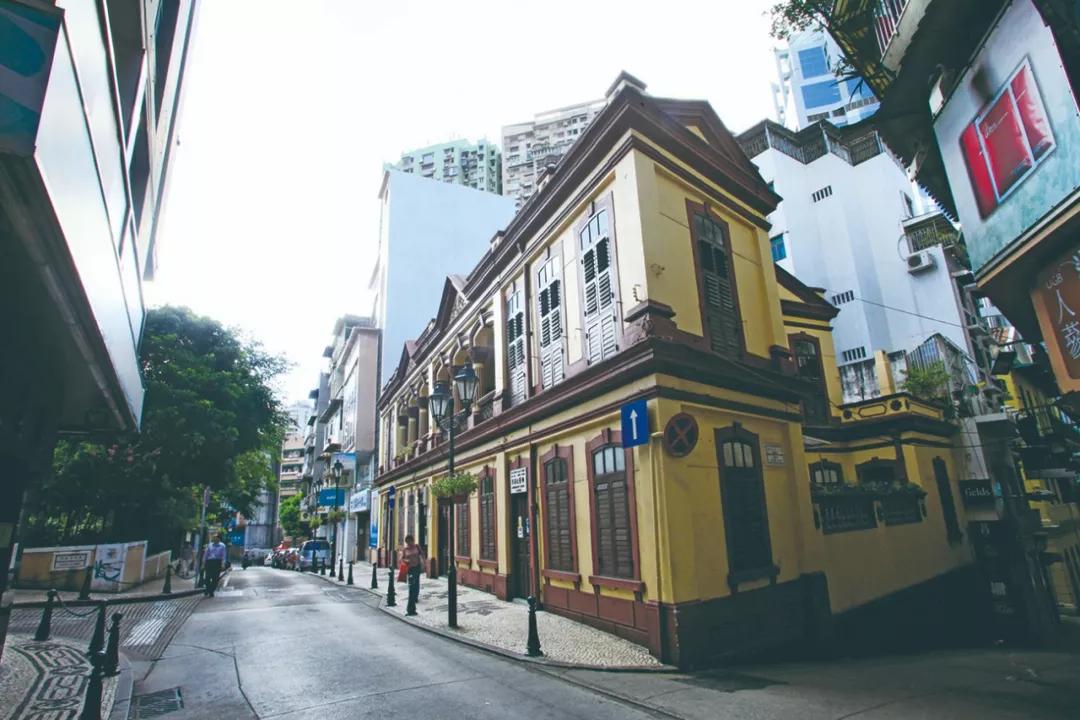 澳門三期內(nèi)必開(kāi)一肖——揭秘生肖彩票的奧秘，揭秘澳門生肖彩票三期必開(kāi)一肖的神秘面紗