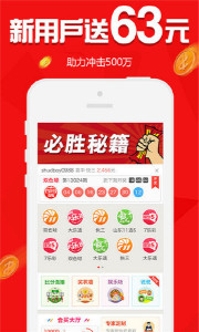 王中王095期揭曉，揭秘偷一生肖的秘密，揭秘王中王生肖秘密揭曉，偷一生肖的神秘面紗被揭開(kāi)