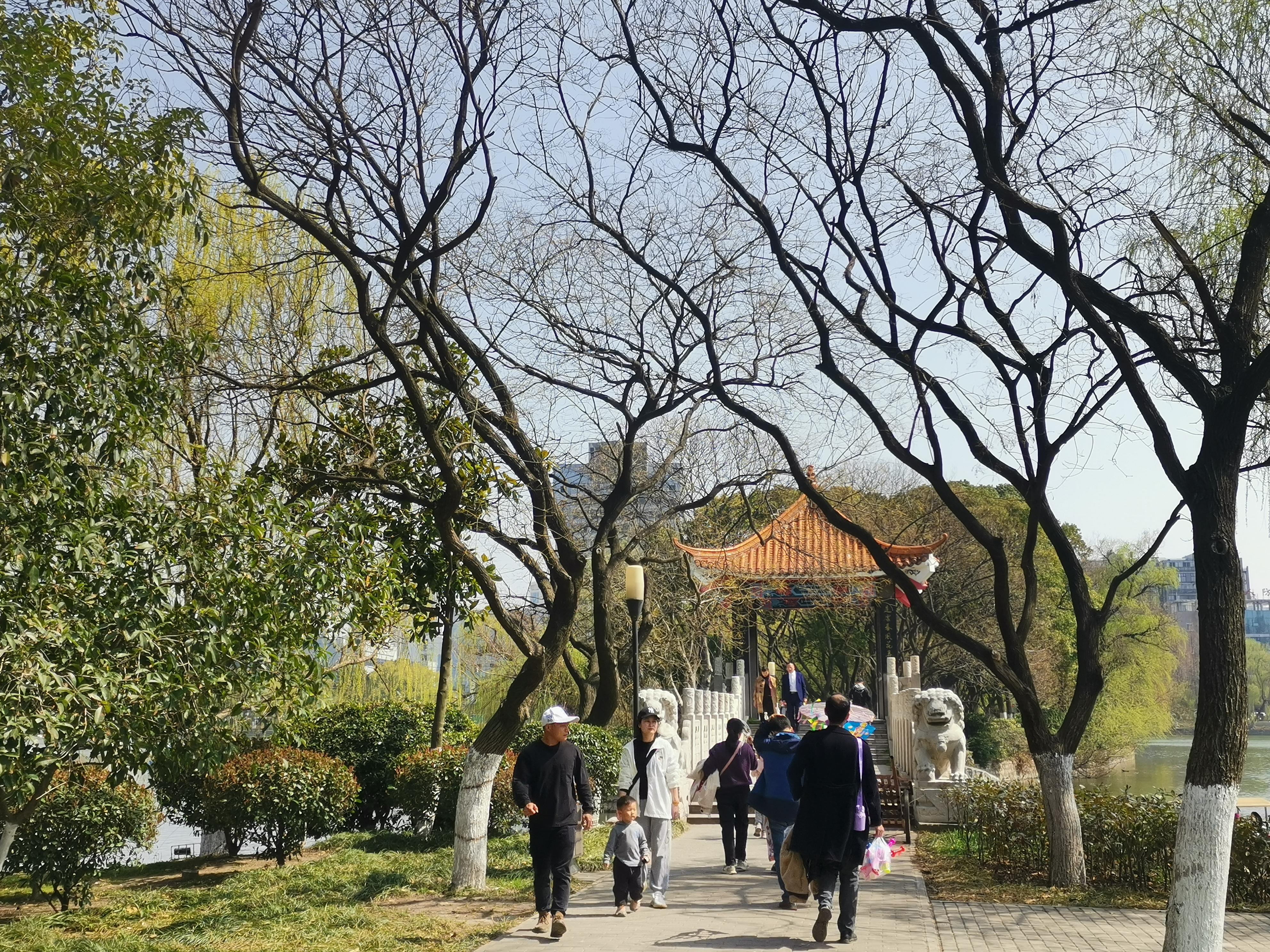 澳門75期最快天天開獎(jiǎng)，揭秘彩票背后的秘密與策略，澳門75期天天開獎(jiǎng)揭秘，彩票背后的秘密與策略探究