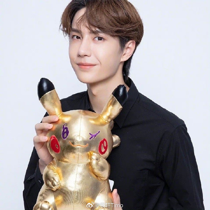 揭秘查王中王一肖中特，探尋背后的秘密，揭秘查王中王一肖中特背后的秘密真相