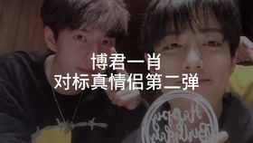 一肖拖一肖二中二有幾組——深度解析與探索，深度解析與探索，一肖拖一肖二中二有多少組組合？