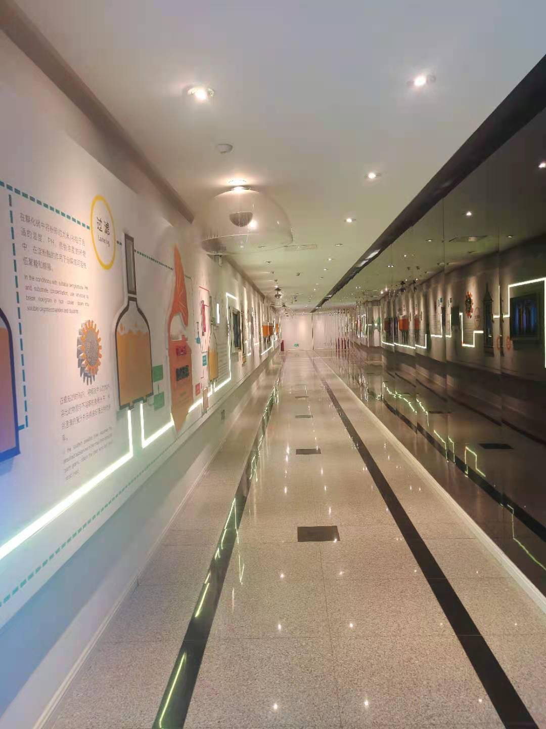 澳門一碼一肖一待一中四不像——揭開神秘面紗下的真相，澳門神秘事件揭秘，一碼一肖一待一中四不像真相探索