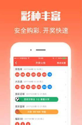 王中王三肖選一，深度解析與SEO優(yōu)化策略，王中王三肖選深度解析與SEO優(yōu)化策略指南