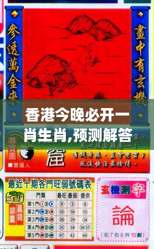 香港與彩王中王精準(zhǔn)一肖，揭秘彩票背后的秘密，揭秘彩票背后的秘密，香港與彩王中王精準(zhǔn)一肖探究