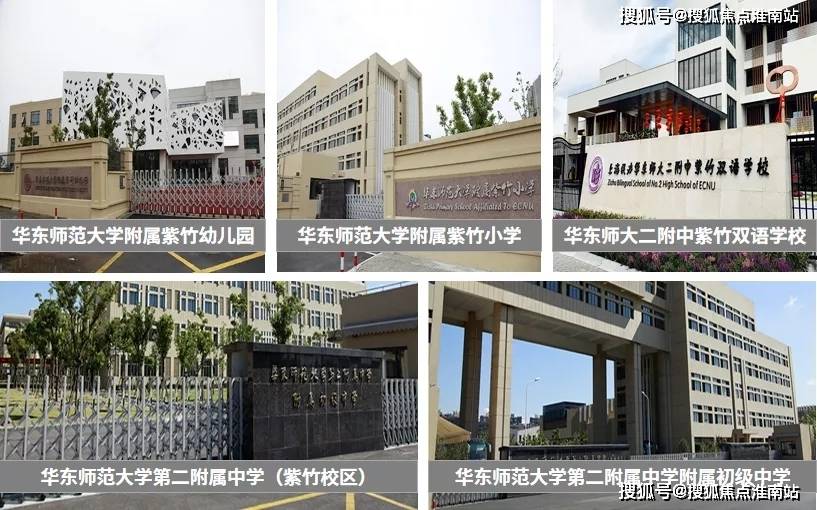 新奧門(mén)特資料49圖庫(kù)，深度解析與探索，新奧門(mén)特資料49圖庫(kù)，深度探索與解析