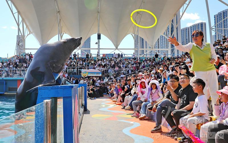 新澳2025今晚開(kāi)獎(jiǎng)結(jié)果揭曉，期待與驚喜并存，新澳2025今晚開(kāi)獎(jiǎng)結(jié)果揭曉，期待與驚喜交織的時(shí)刻