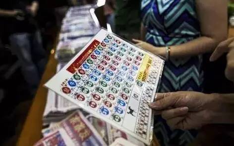 香港王中王開(kāi)獎(jiǎng)結(jié)果查詢(xún)，今晚開(kāi)獎(jiǎng)盛況一覽，香港王中王開(kāi)獎(jiǎng)結(jié)果查詢(xún)，今晚盛況揭曉，最新開(kāi)獎(jiǎng)信息一覽