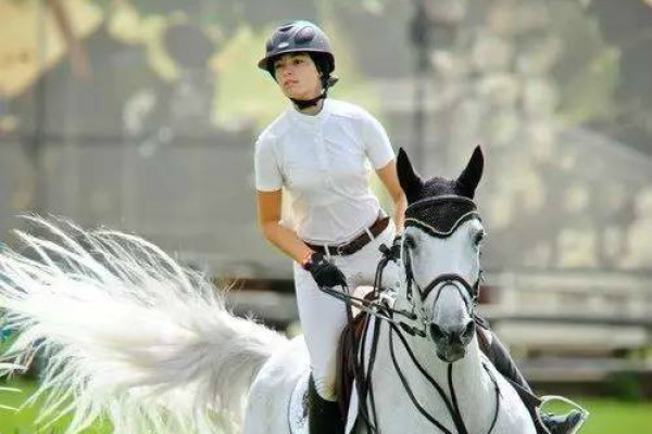 揭秘劉伯溫四肖選一碼的秘密，傳奇人物背后的故事與智慧，劉伯溫四肖選一碼揭秘，傳奇人物背后的秘密與智慧