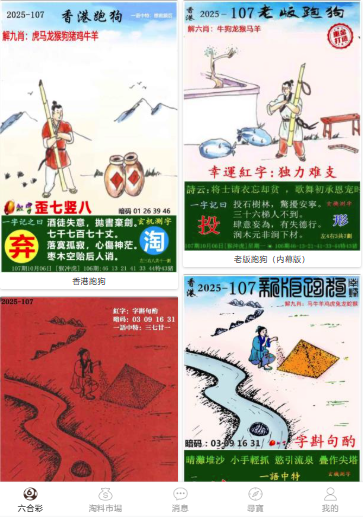 2004新澳門天天開好彩大全正版——全面解析與回顧，澳門彩票解析與回顧，2004年天天好彩正版大全