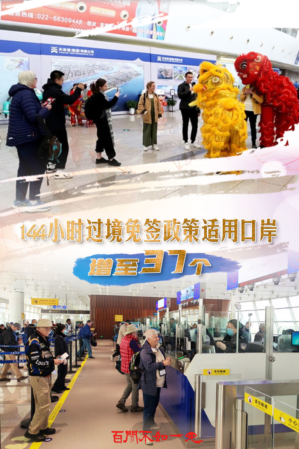 澳門王中王，揭秘一肖一特一中奧秘，澳門王中王揭秘生肖秘密，一肖一特一中奧秘探秘