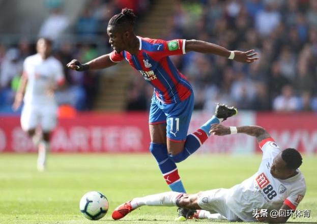 王中王118一肖中特，揭秘精準預(yù)測的秘密，揭秘王中王118精準預(yù)測一肖中的秘密