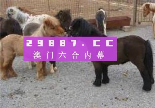 王中王平特一肖四不像圖，深度解析與SEO優(yōu)化策略，王中王平特一肖四不像圖，深度解析與SEO優(yōu)化策略探討