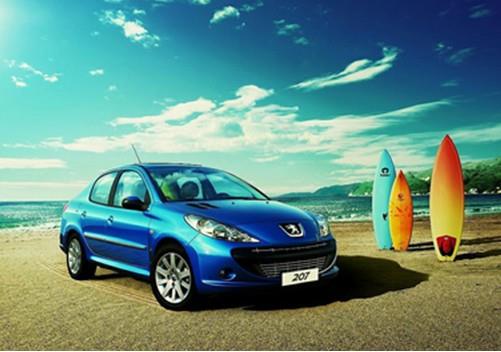 王中王307期指一生肖——深度解讀與SEO優(yōu)化，王中王307期生肖深度解讀與SEO優(yōu)化策略揭秘