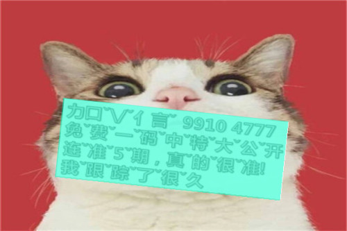 一肖啥意思，深度解析與SEO優(yōu)化文章，一肖含義深度解析與SEO優(yōu)化策略探討