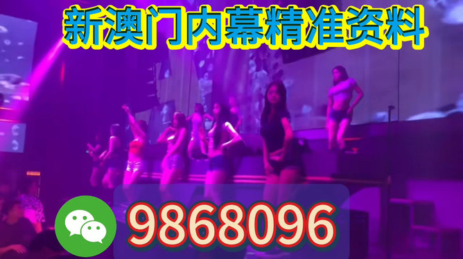 新澳門今晚開特馬，探索澳門博彩文化背后的秘密，澳門博彩文化揭秘，探尋特馬背后的秘密