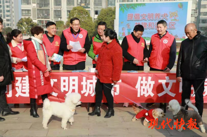 急先鋒澳門六肖，深度解析與探索，澳門六肖急先鋒，深度解析與探索