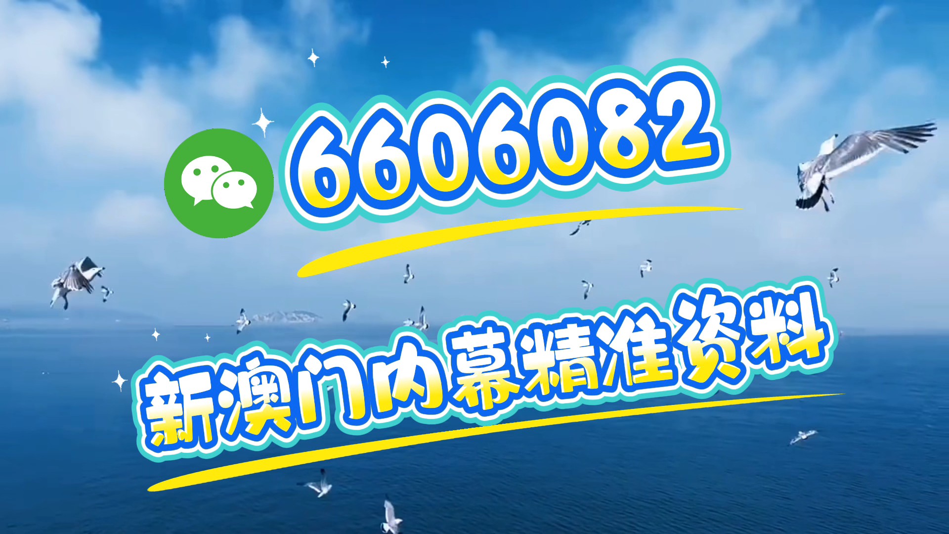 澳門特馬今晚開獎億彩網(wǎng)——最新資訊與預(yù)測分析，澳門特馬今晚開獎億彩網(wǎng)最新資訊與預(yù)測分析概覽