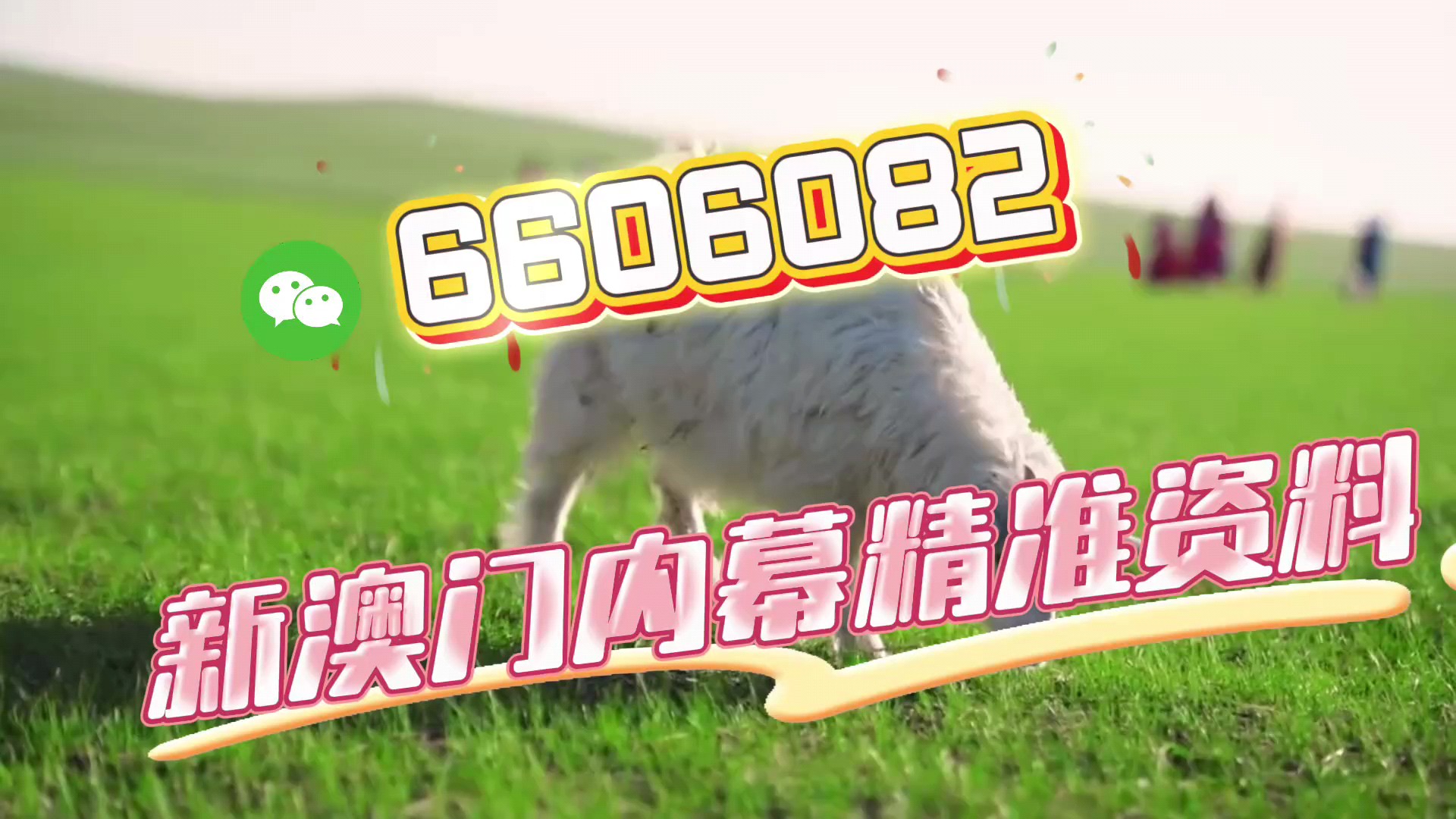 一肖中特免費(fèi)資料選一，揭秘彩票背后的秘密，揭秘彩票背后秘密，一肖中特免費(fèi)資料選一解析