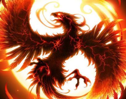 王中王精準(zhǔn)一肖中鳳凰，揭秘預(yù)測之謎，揭秘王中王精準(zhǔn)預(yù)測一肖中鳳凰的奧秘