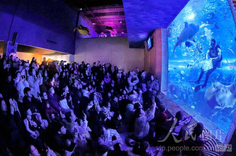 新澳2025今晚開獎結(jié)果揭曉，期待與驚喜的交匯點，新澳2025今晚開獎結(jié)果揭曉，期待與驚喜的碰撞