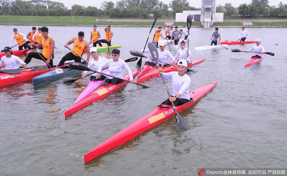 王中王一碼一肖免費公開，揭秘精準預(yù)測的秘密，揭秘王中王一碼一肖精準預(yù)測的秘密，免費公開揭秘！