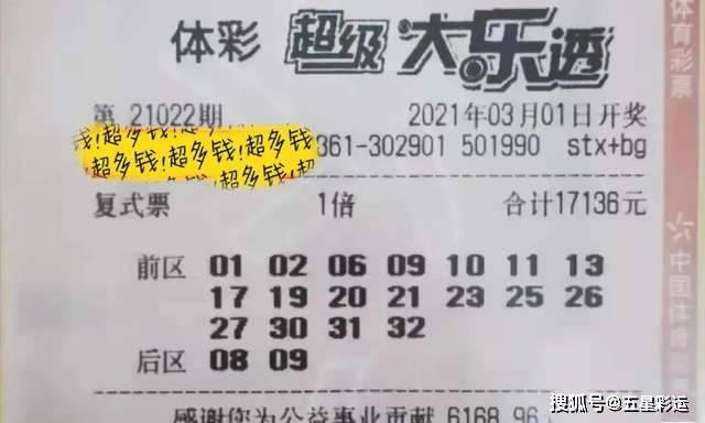 一肖三碼王中王，揭秘背后的秘密與策略，揭秘一肖三碼王中王的秘密與策略