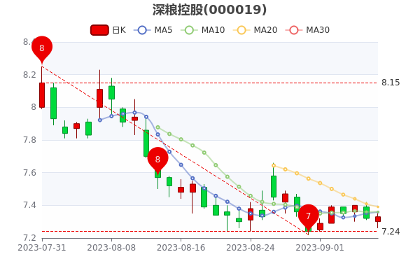 深糧控股股票，投資潛力與市場前景分析，深糧控股股票投資潛力與市場前景深度解析