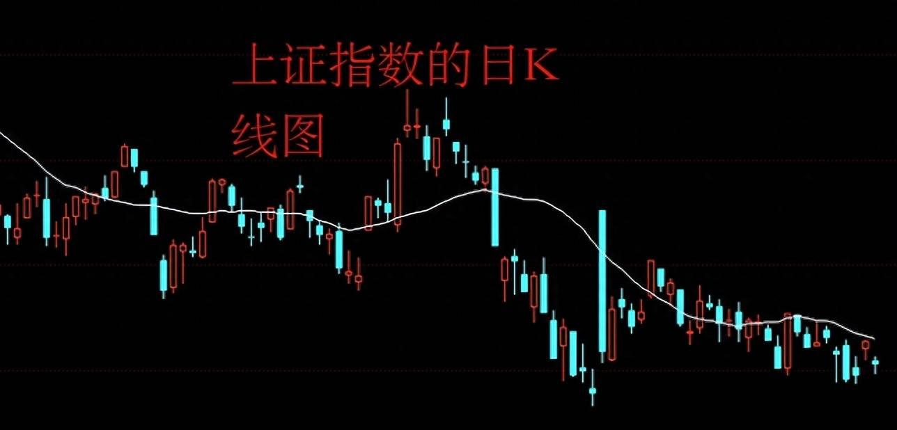 海天食品股票，投資潛力與市場前景分析，海天食品股票投資潛力與市場前景深度解析