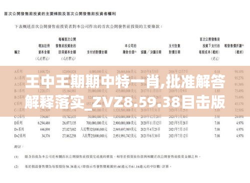 王中王一肖期期中，深度解析與SEO優(yōu)化策略，王中王一肖期期中深度解析與SEO優(yōu)化攻略