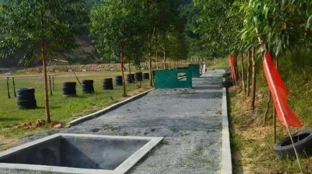 近期國(guó)防軍事事件，全球軍事動(dòng)態(tài)深度解析，全球軍事動(dòng)態(tài)深度解析，國(guó)防軍事事件最新進(jìn)展與啟示