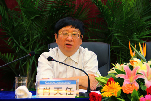 王中王資科一肖中持天，深度解析與SEO優(yōu)化策略，王中王資科一肖中持天深度解析與SEO優(yōu)化策略探討