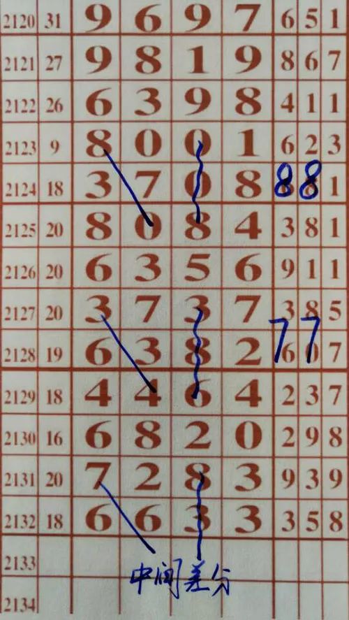 79期王中王三肖一碼，深度解析與SEO優(yōu)化策略，79期王中王三肖一碼深度解析與SEO策略全解析