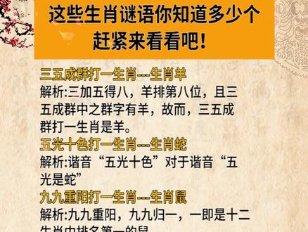 謎語王中王打一生肖——揭秘背后的神秘故事與生肖之謎，揭秘生肖之謎，謎語王中王背后的神秘故事與生肖解密