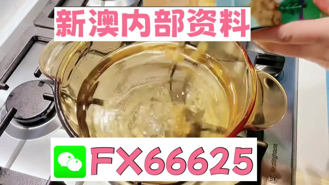 新澳一碼料，深度解析與SEO優(yōu)化策略，新澳一碼料深度解析與SEO優(yōu)化策略指南