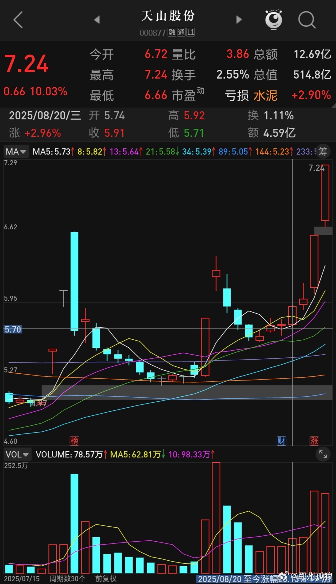 天山股份重組最新消息，企業(yè)轉(zhuǎn)型與未來發(fā)展的展望，天山股份重組最新動態(tài)，企業(yè)轉(zhuǎn)型展望與未來發(fā)展路徑
