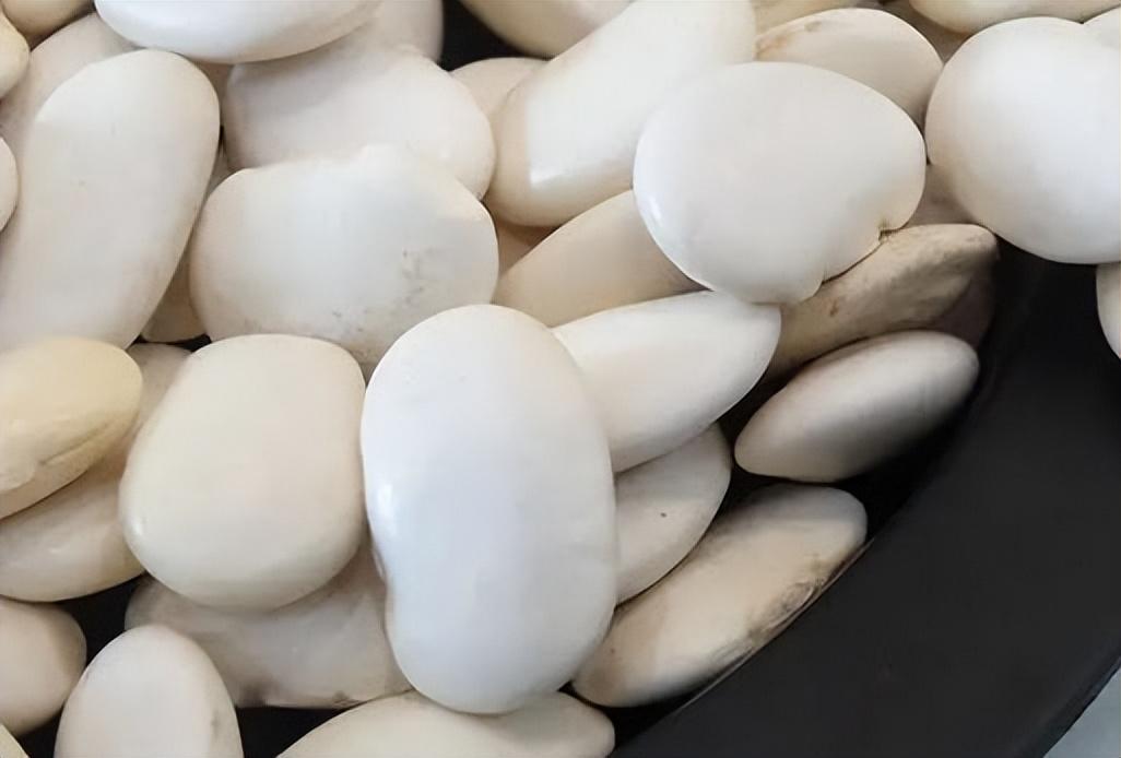 養(yǎng)胃又治胃病的食物，呵護(hù)你的胃健康，養(yǎng)胃治胃必備食物，呵護(hù)你的胃健康之道