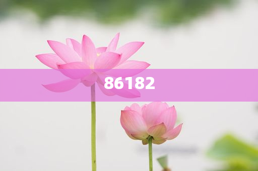 新奧精準(zhǔn)免費(fèi)提供港澳彩——揭秘彩票行業(yè)的秘密武器，揭秘新奧精準(zhǔn)免費(fèi)提供港澳彩的神秘面紗，彩票行業(yè)的秘密武器探究