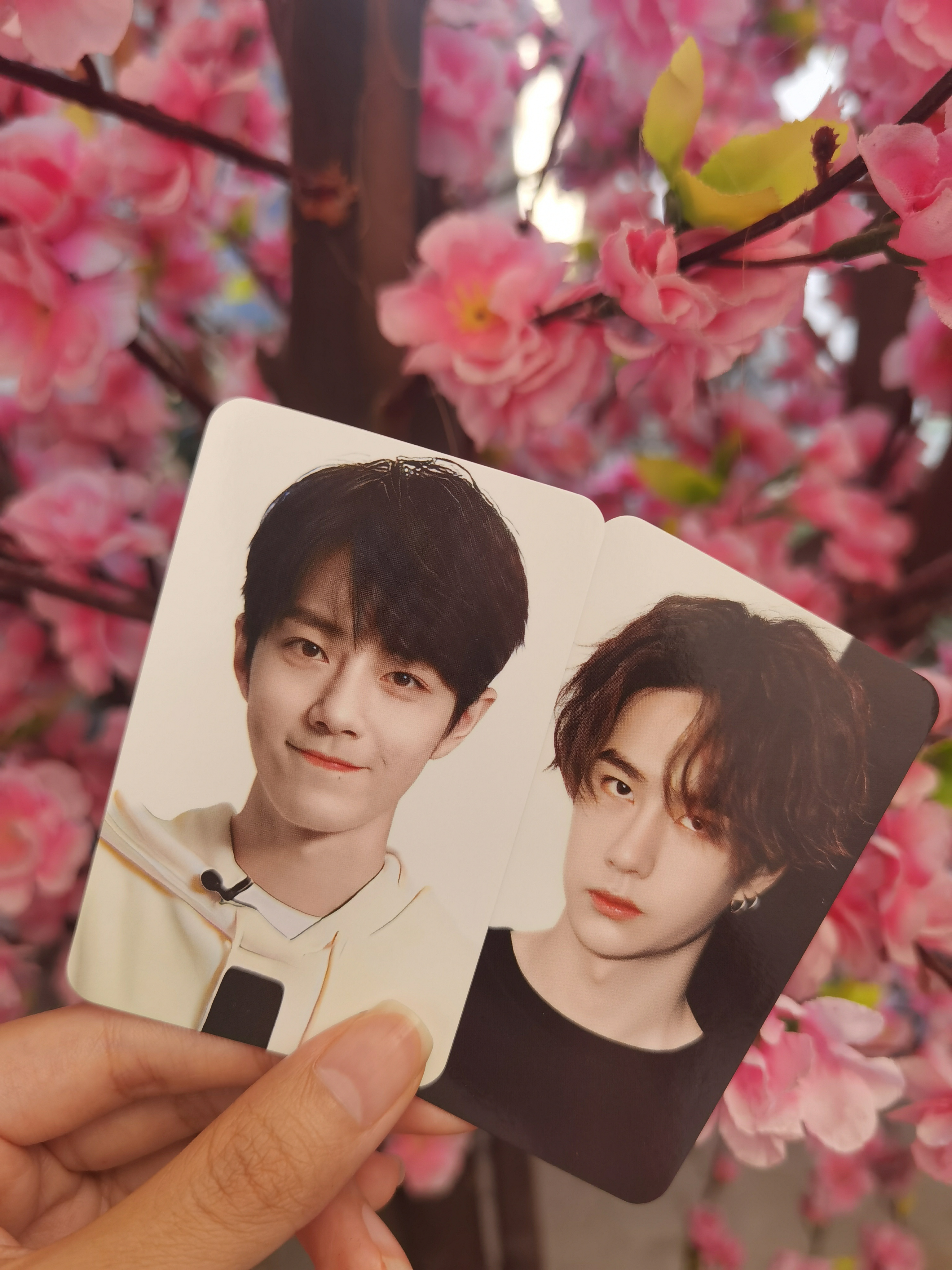 王中王一肖中特一肖精準(zhǔn)預(yù)測——揭秘生肖運(yùn)勢的秘密，揭秘生肖運(yùn)勢，王中王一肖精準(zhǔn)預(yù)測特選生肖運(yùn)勢秘密