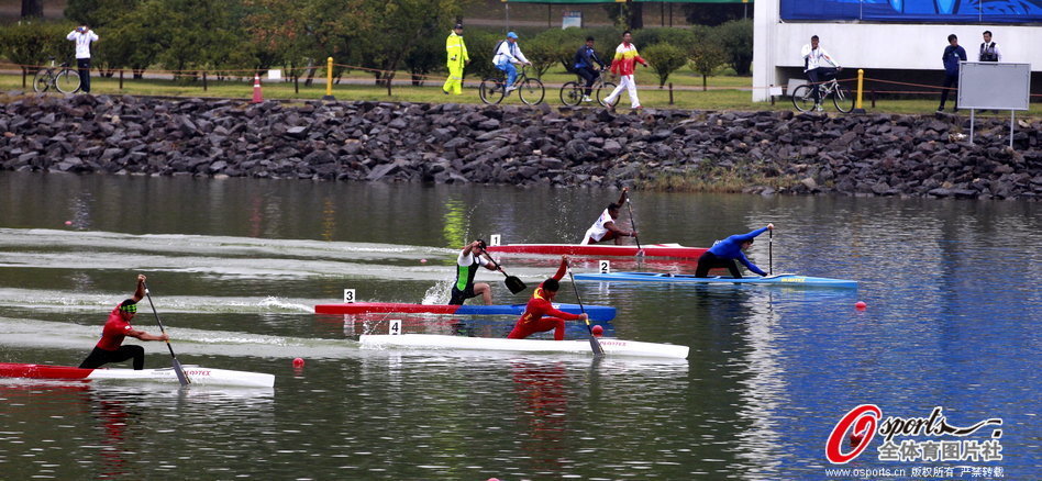 王中王一肖一馬期期中特，深度解析與SEO優(yōu)化策略，王中王一肖一馬期期中特深度解析與SEO優(yōu)化策略指南