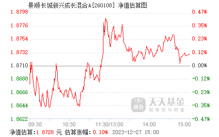 關于景順長城新興成長最新凈值，深度解析與洞察，景順長城新興成長最新凈值深度解析與洞察報告