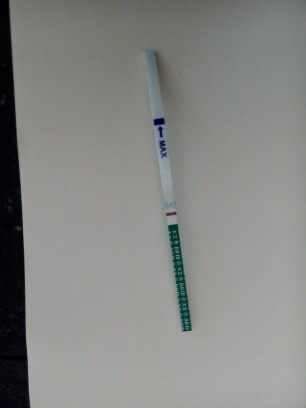 早孕試紙圖片，了解使用與選擇的重要性，早孕試紙圖片，使用與選擇的重要性解析