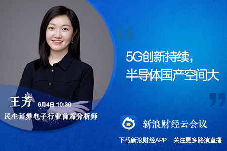 新浪財(cái)經(jīng)下的600844股票深度解析，新浪財(cái)經(jīng)獨(dú)家解析，600844股票深度報(bào)告