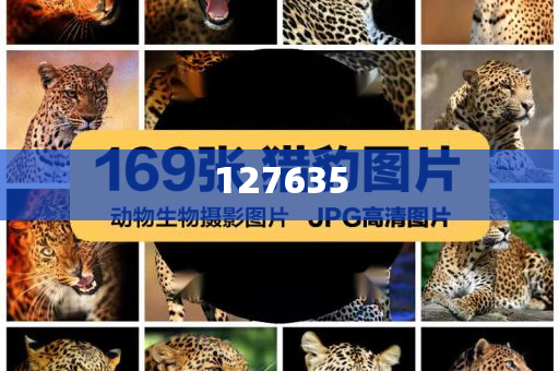 揭秘精準(zhǔn)新傳真背后的秘密，探索數(shù)字77777與88888的魅力，揭秘精準(zhǔn)新傳真背后的秘密，數(shù)字77777與88888的魅力探索