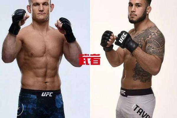 澳門六開獎(jiǎng)結(jié)果記錄圖，探索彩票背后的秘密，澳門六開獎(jiǎng)結(jié)果記錄圖揭秘彩票背后的秘密