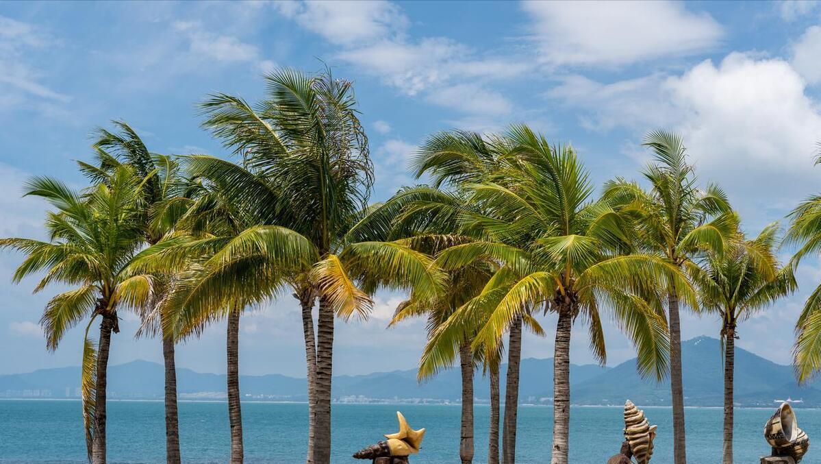 澳門一肖中100%期期準(zhǔn)海南特區(qū)號，揭秘彩票預(yù)測背后的秘密，澳門一肖精準(zhǔn)預(yù)測彩票背后的秘密，期期準(zhǔn)海南特區(qū)號揭秘彩票預(yù)測之道